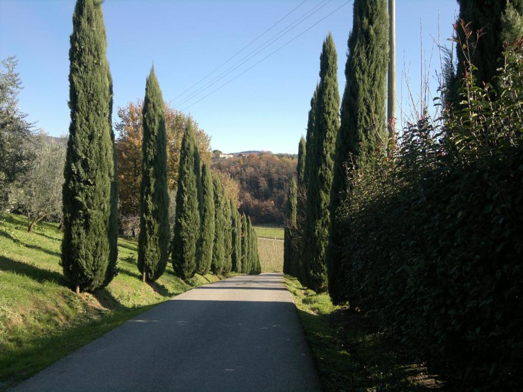 Il Casolare Di Leonardo Hotel Vinci Bagian luar foto